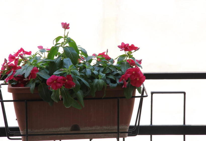 B&b Casa Venezia  | Bernalda | Matera | Italia 16