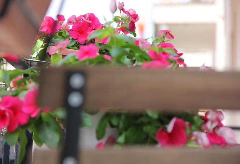 B&b Casa Venezia  | Bernalda | Matera | Italia 3