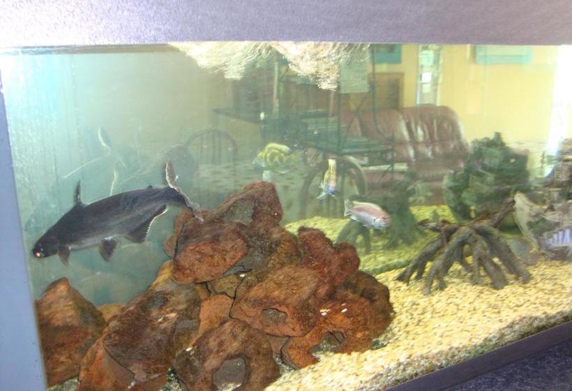 Hotel Albergo Gino  | Ancona | Ancona | Italia 20