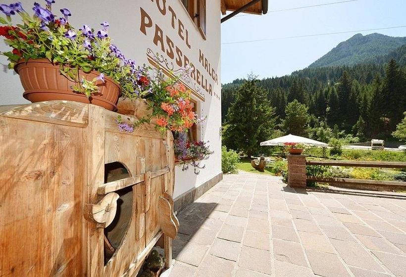 Hotel Malga Passerella  | Moena | Trento | Italia 20