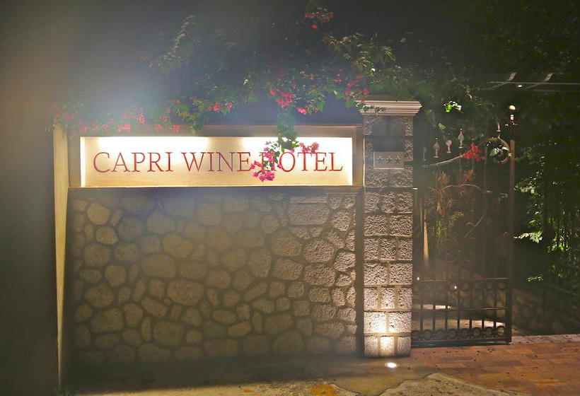Hotel Capri Wine  | Capri | Naples | Italy 10