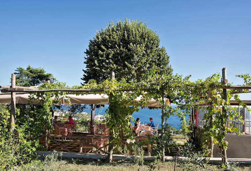 Hotel Capri Wine  | Capri | Naples | Italy 8