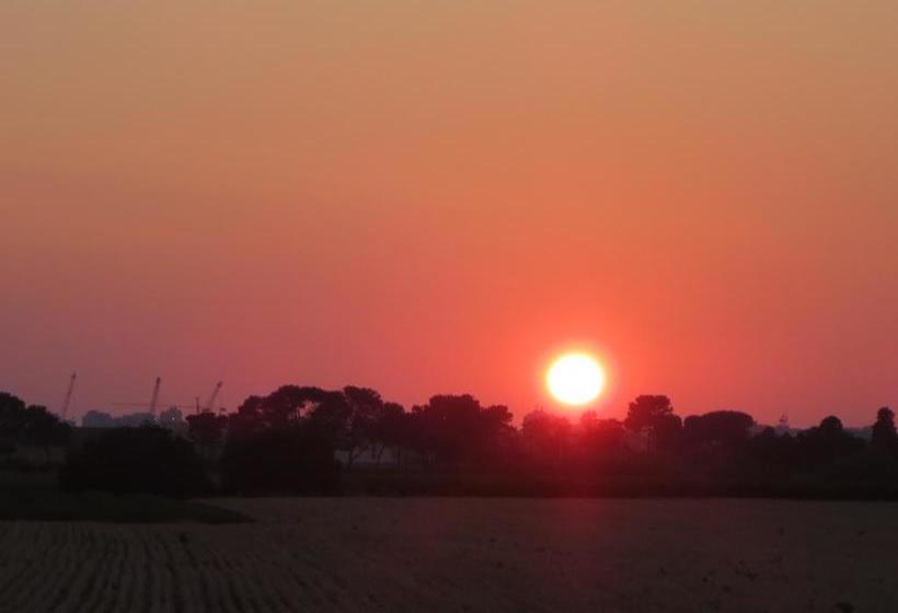 Bed and Breakfast Colomba Bianca  | Marsala | Trapani | Italia 9