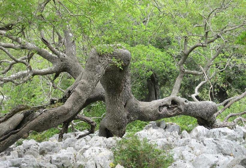 Bed & Breakfast Le Stanze Di Patika  | Tortoli | Sardinia | Italien 19