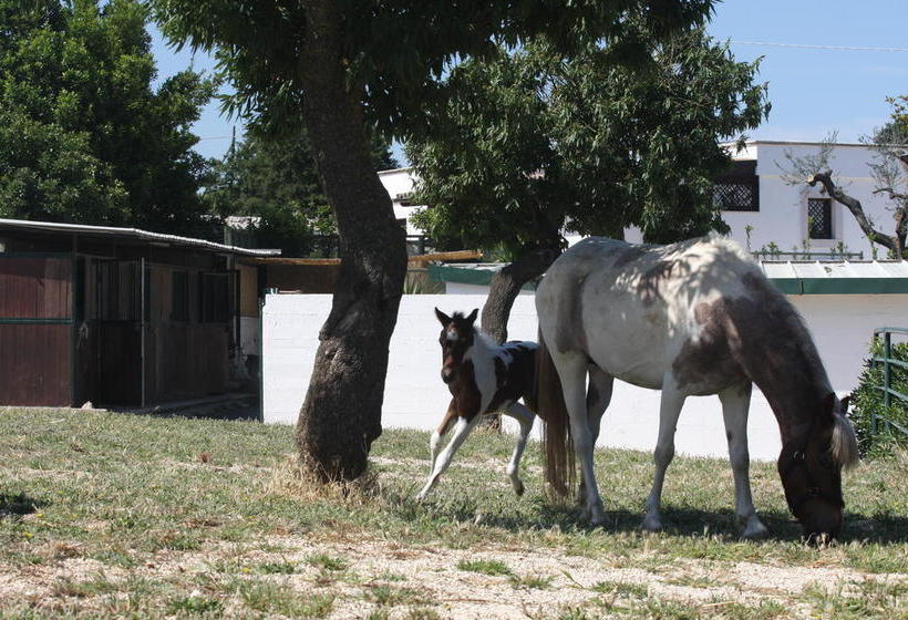 B&b Marchione  | Castellana Grotte | Bari | Italia 20