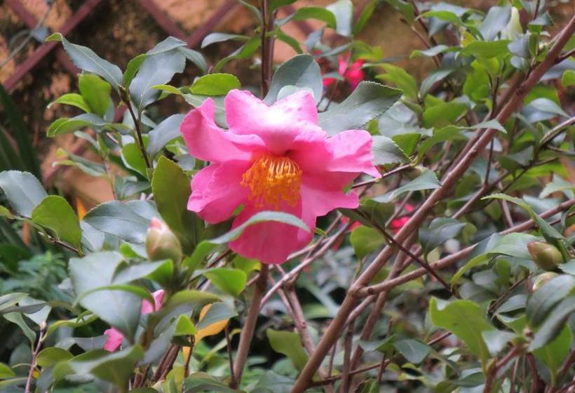 B&b Five  | Roma | Roma | Italia 17