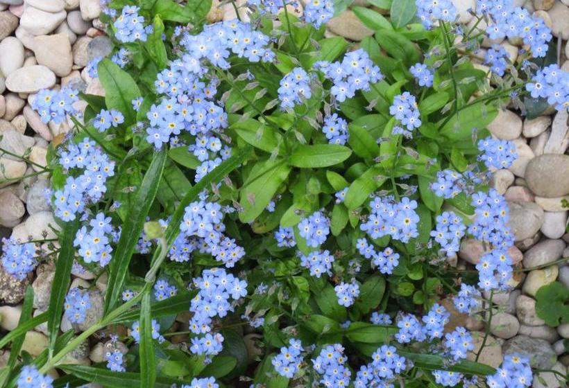 B&b Five  | Roma | Roma | Italia 3