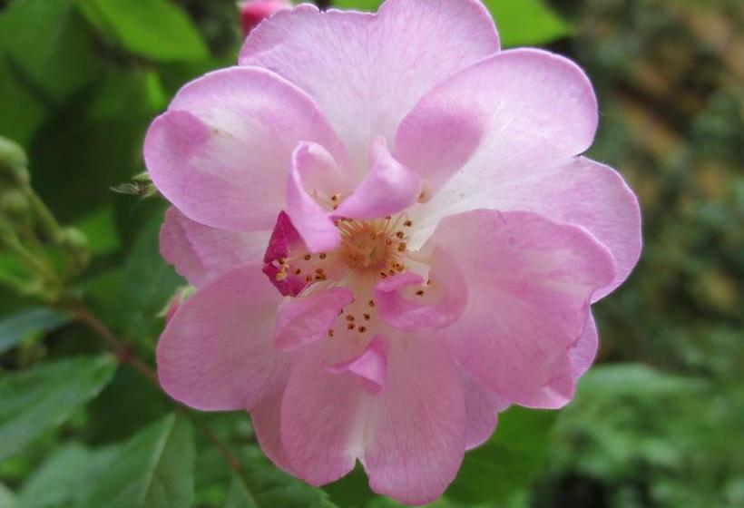 B&b Five  | Roma | Roma | Italia 5