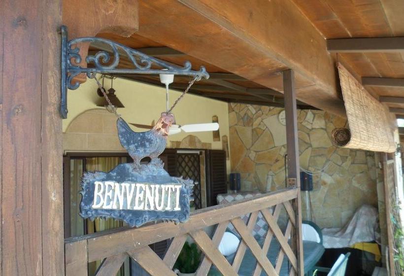 B&b Mandorla Amara  | Gioia del Colle | Bari | Italia 15