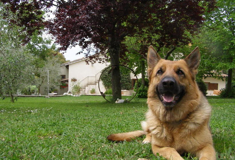 Bed And Breakfast Casale Isorella  | San Gemini | Terni | Italie 15