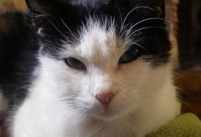 Bed And Breakfast Casale Isorella  | San Gemini | Terni | Italie 18