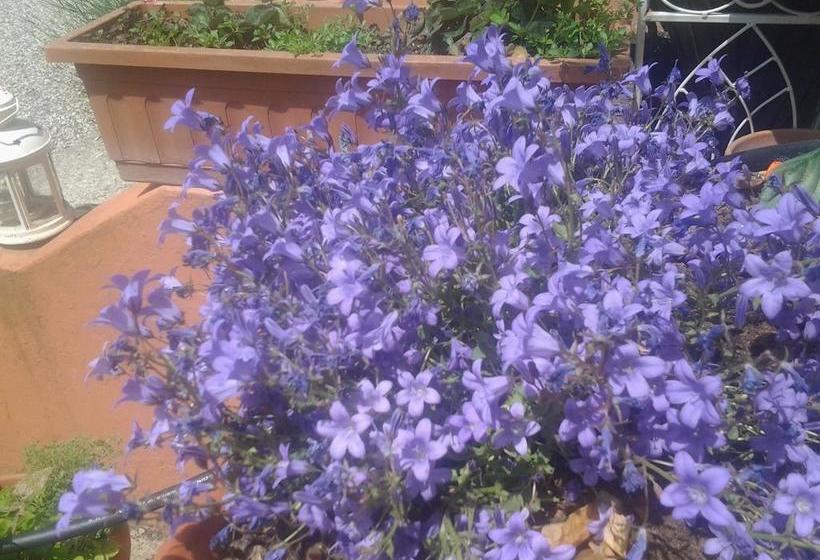 Bed and Breakfast Dolce Vita  | Valeggio sul Mincio | Verona | Italy 19