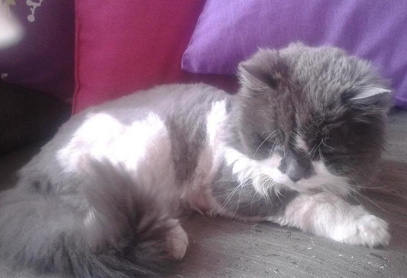 Hotel Enjoy  | Riccione | Rimini | Italia 10