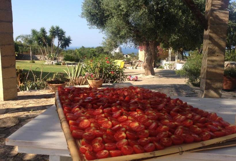 Bed and Breakfast Contrada Borgin  | Salve | Lecce | Italia 12