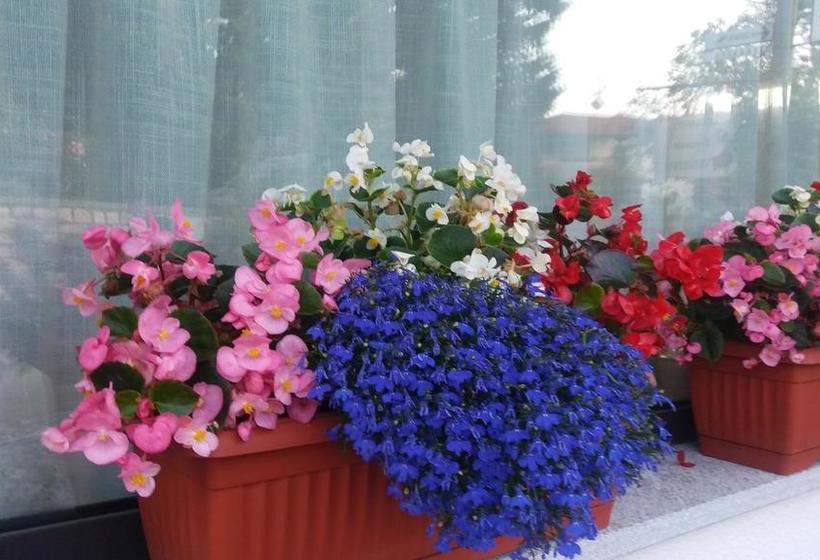 Bed and Breakfast Locanda Verbena  | Stresa | Verbano-Cusio-Ossola | Italia 6