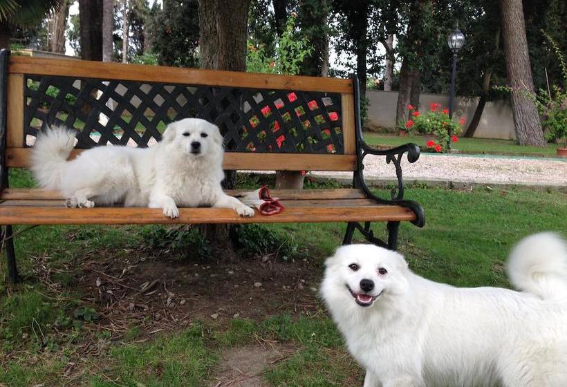 Bed and Breakfast Villa Berghella  | Montesilvano | Pescara | Italia 4