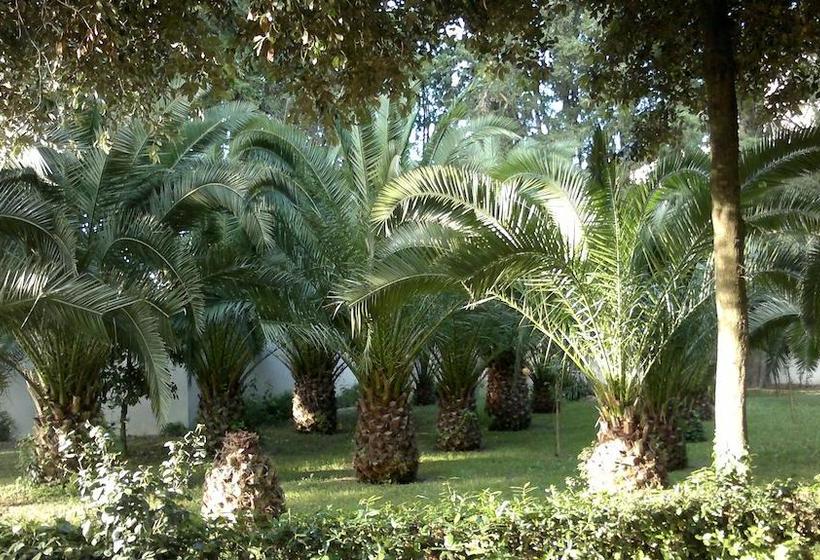 Bed and Breakfast Villa Berghella  | Montesilvano | Pescara | Italia 7