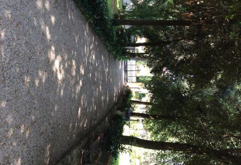 Bed and Breakfast Villa Berghella  | Montesilvano | Pescara | Italia 8