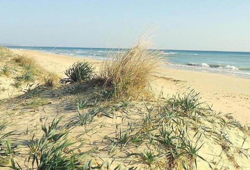 Bed and Breakfast Aurora Salentina  | Morciano di Leuca | Lecce | Italia 3