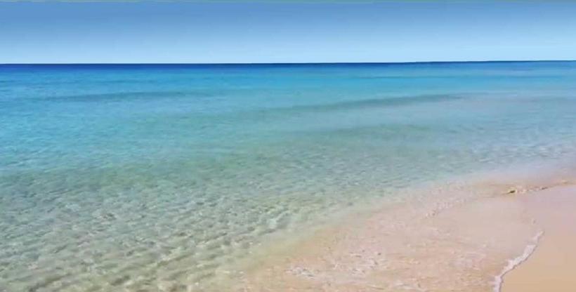 Bed and Breakfast Aurora Salentina  | Morciano di Leuca | Lecce | Italia 5