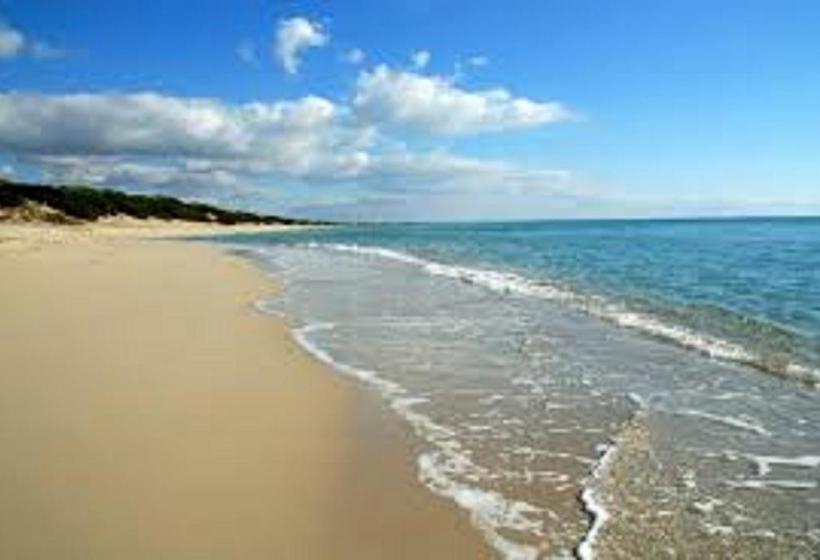 Bed and Breakfast Aurora Salentina  | Morciano di Leuca | Lecce | Italia 6