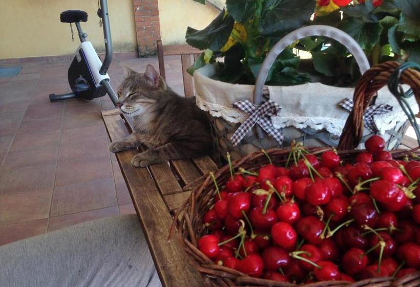 Bed and Breakfast Quattro Gatti  | Airasca | Torino | Italia 18