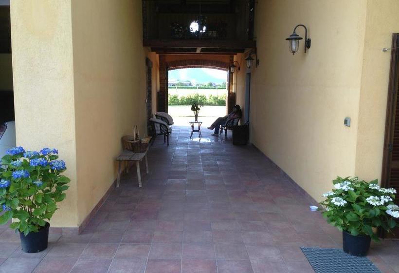 Bed and Breakfast Quattro Gatti  | Airasca | Torino | Italia 4