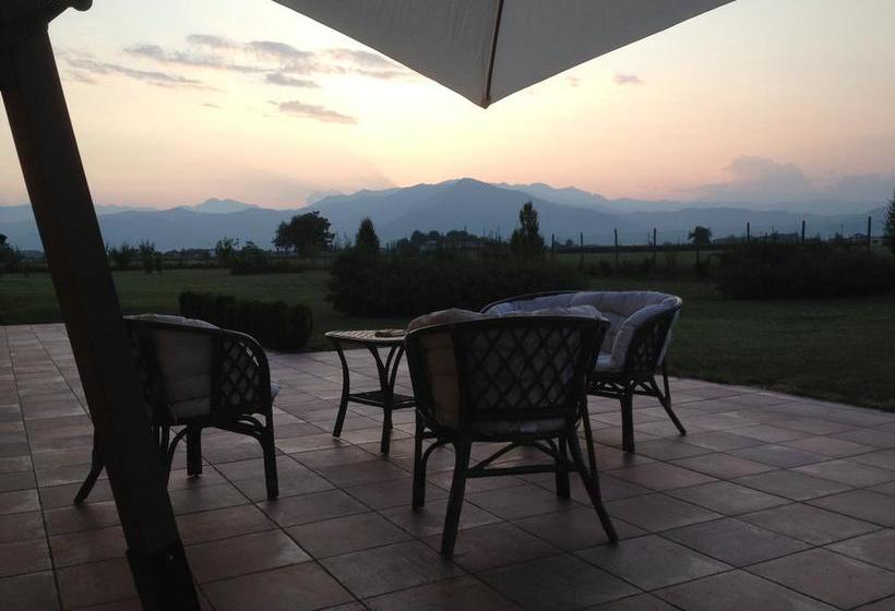 Bed and Breakfast Quattro Gatti  | Airasca | Torino | Italia 8