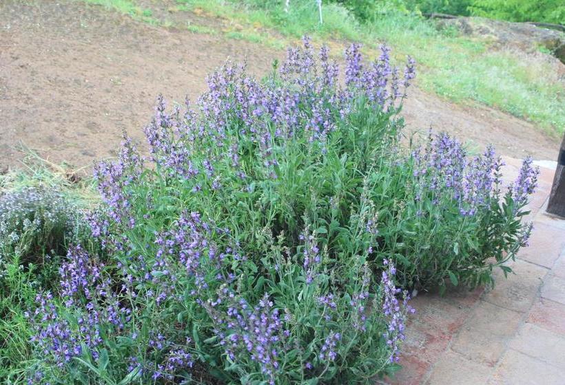 Bed and Breakfast Poggio Ba  | Sovana | Grosseto | Italia 14