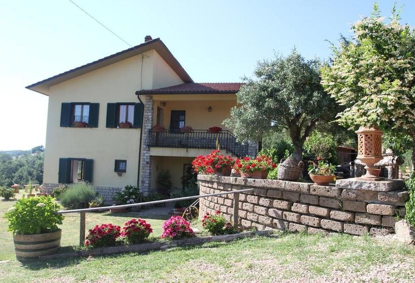 B&b Il Pittolo  | Sorano | Grosseto | Italia 19