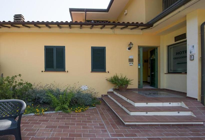 Hotel Cecco Di Nara  | Massarosa | Lucca | Italia 10