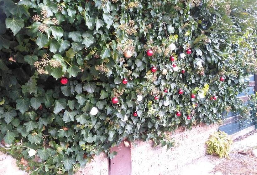 Bed and Breakfast Villa Arcobaleno  | L'Aquila | L'Aquila | Italia 10