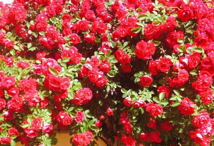 Villa Etruria B&b  | Pitigliano | Grosseto | Italia 1