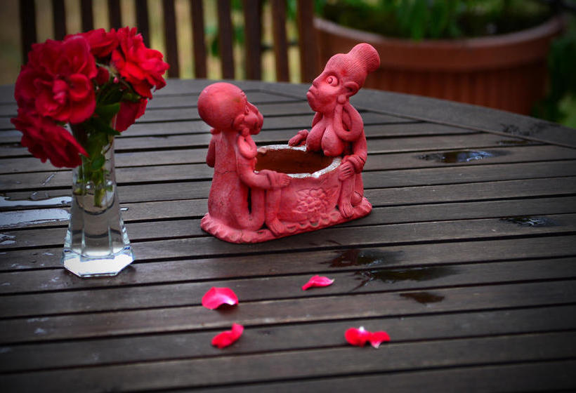 Villa Etruria B&b  | Pitigliano | Grosseto | Italia 15