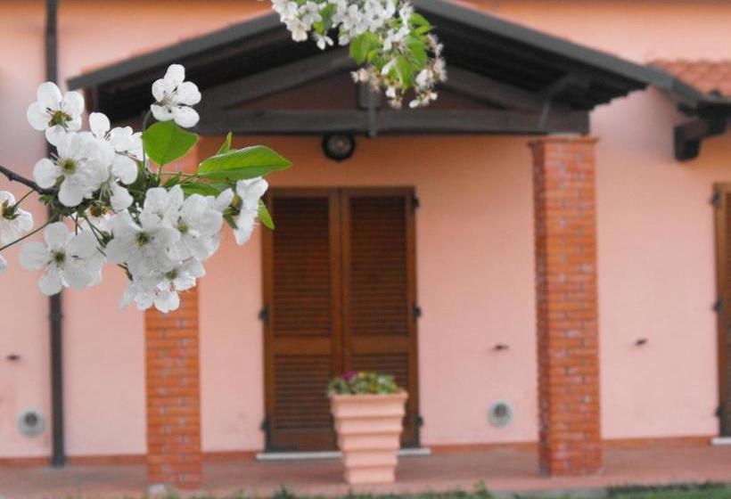 Villa Etruria B&b  | Pitigliano | Grosseto | Italia 6