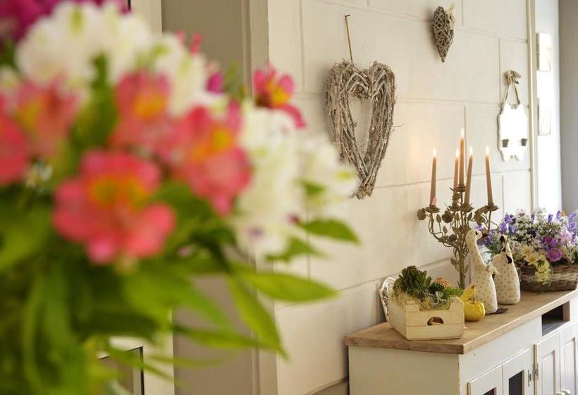 Hotel Lisà  | Viareggio | Lucca | Italia 11