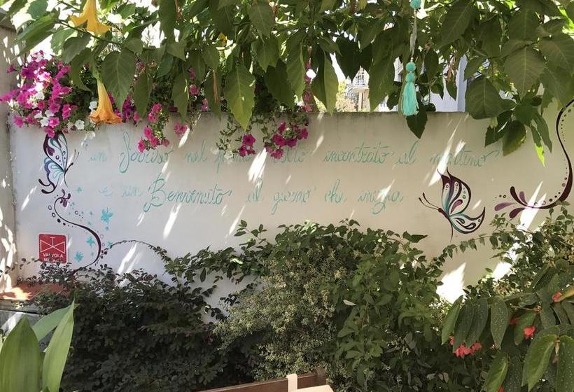 Hotel Lisà  | Viareggio | Lucca | Italia 2