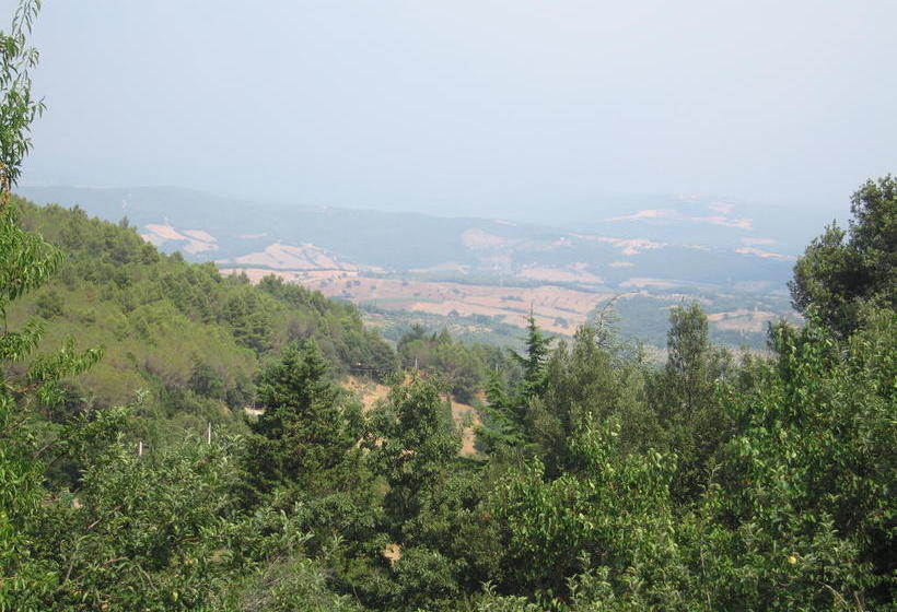 Bed And Breakfast Belvedere  | Suvereto | Livorno | Italia 9