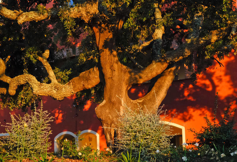 Bed & Breakfast Giardino Dei Sugheri  | Scarlino | Grosseto | Italien 2