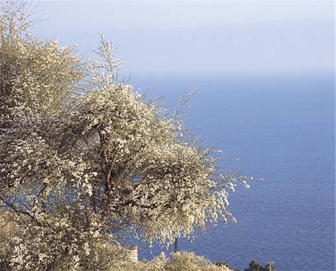 B&b Ethnohotel Rosa Dei Venti  | Imperia | Imperia | Italia 20