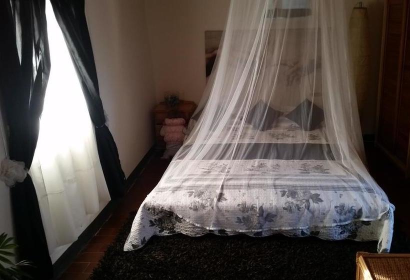 B&b Ethnohotel Rosa Dei Venti  | Imperia | Imperia | Italia 7