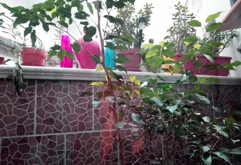 B&b Casaberry  | Taranto | Taranto | Italia 17