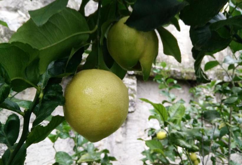 Bed and Breakfast Torre Degli Ulivi  | Tignale | Brescia | Italia 4