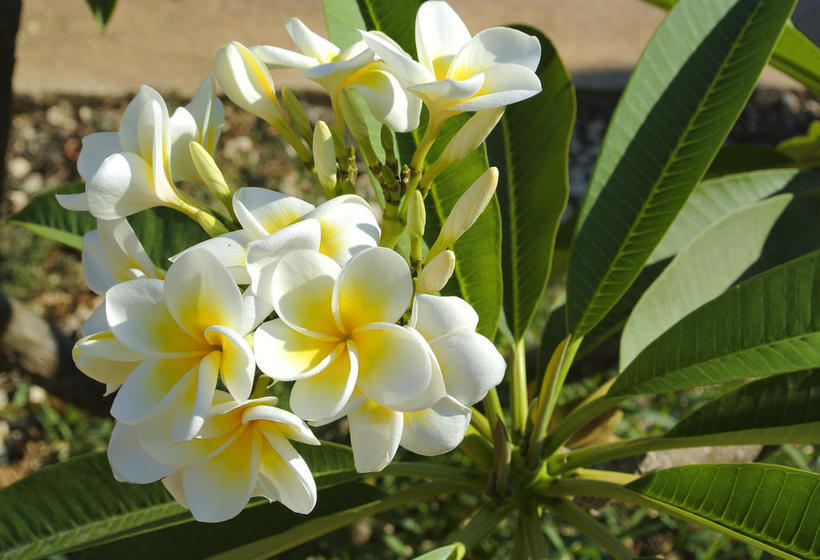 Bed and Breakfast Al Vecchio Pontile  | Marsala | Trapani | Italia 6