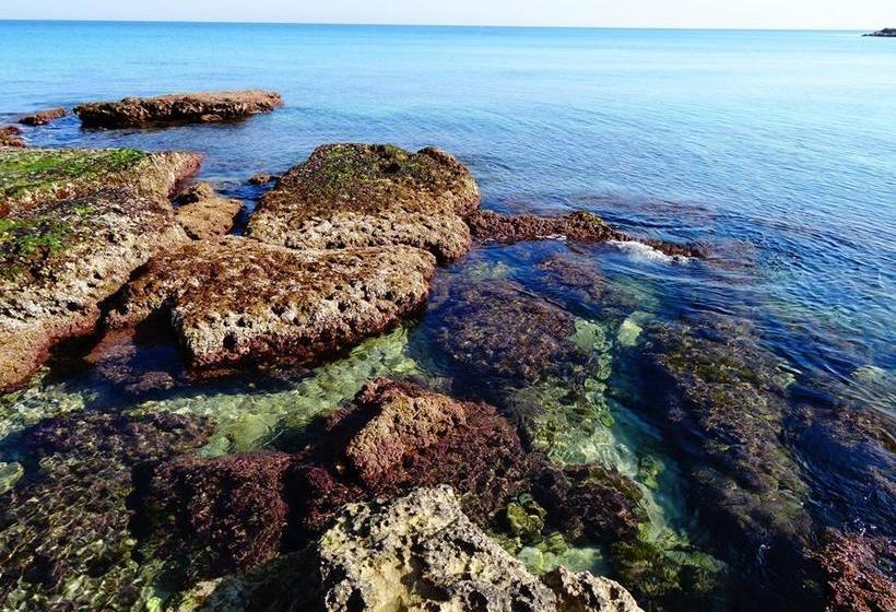 Bed and Breakfast Villa Longo De Bellis  | Bari | Bari | Italia 19