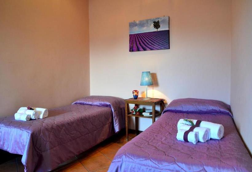 B&b Terra Niura  | Nicolosi | Catania | Italia 14