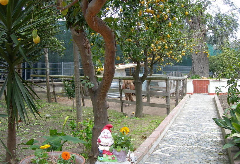 Bed and Breakfast Sweet Home  | Sorrento | Napoli | Italia 9