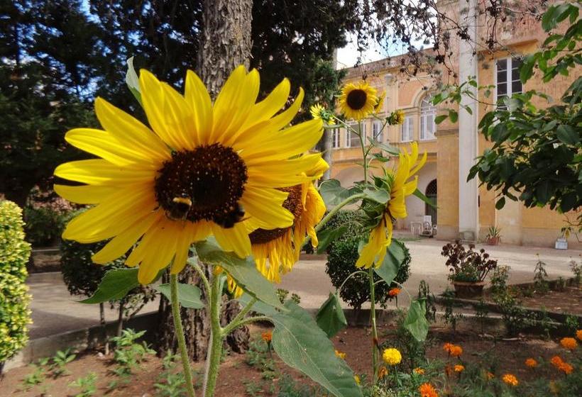 Donna Bianca B&b  | Specchia | Lecce | Italia 15