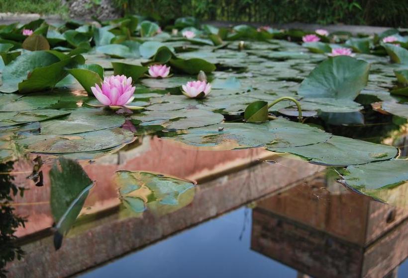 Donna Bianca B&b  | Specchia | Lecce | Italia 5