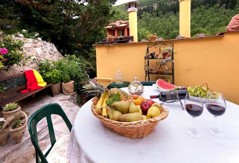 Bed and Breakfast Ulivo Rosso  | Sesto Fiorentino | Florence | Italia 13